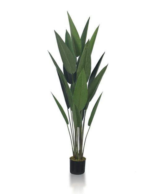 Artificial Paradise Plant in modern living room corner