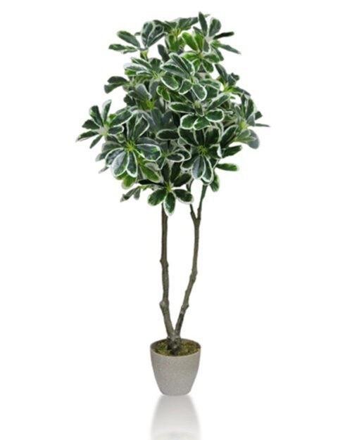 Artificial Umbrella Plant, Faux Tropical Umbrella Plant, 39-Inch Schefflera Arboricola