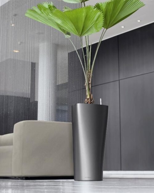 Discover the SALONI Premium Tall Tapered FRP Planter. Stylish and durable fiberglass construction, perfect for showcasing plants in modern decor. Shop now at ArtaFlora.com.