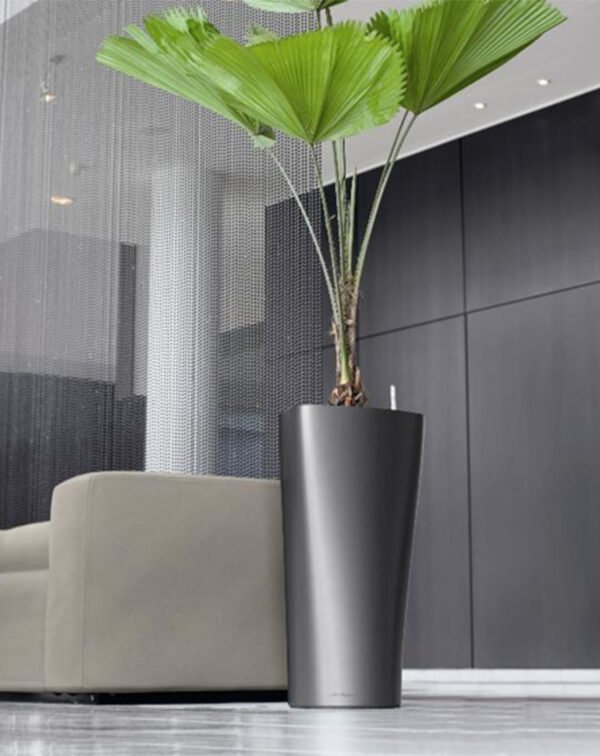 Discover the SALONI Premium Tall Tapered FRP Planter. Stylish and durable fiberglass construction, perfect for showcasing plants in modern decor. Shop now at ArtaFlora.com.