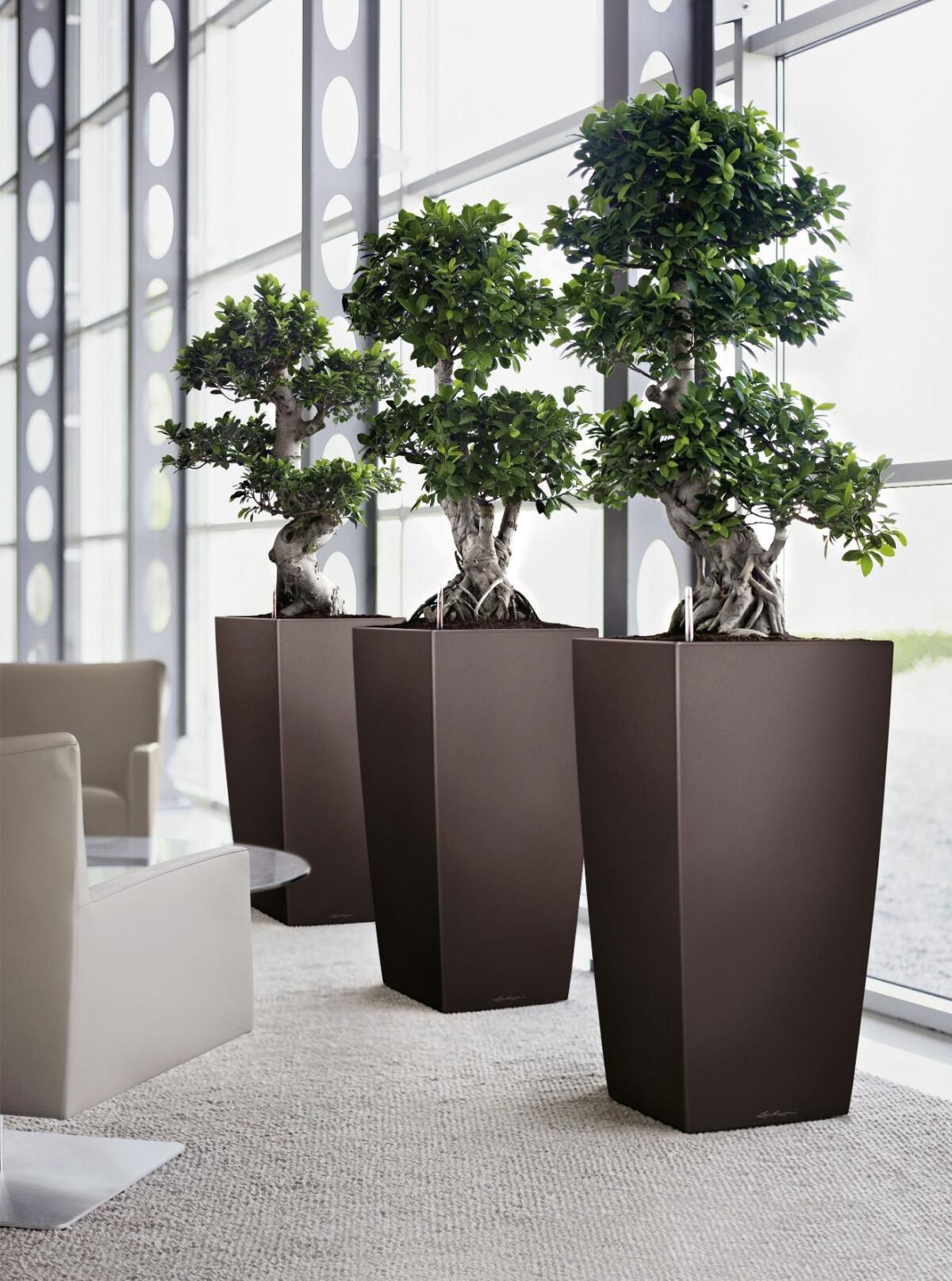 Shop the MANA Premium Trapezoidal FRP Planter. A durable and modern design made from fiberglass, perfect for elevating any indoor or outdoor space. Explore now at ArtaFlora.com.