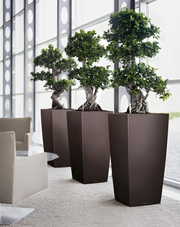 Shop the MANA Premium Trapezoidal FRP Planter. A durable and modern design made from fiberglass, perfect for elevating any indoor or outdoor space. Explore now at ArtaFlora.com.