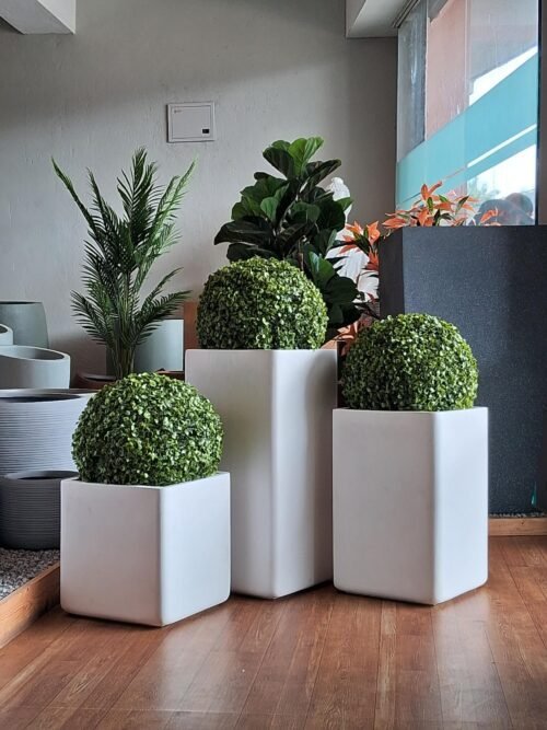 Discover the Sahana Premium Square FRP Planter. A modern and durable planter made from fiberglass, perfect for enhancing your home or office decor. Shop at ArtaFlora.com.