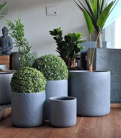Shop elegant premium FRP cylindrical planters for stylish indoor and outdoor spaces. Lightweight, durable, and timeless. Find yours today at ArtaFlora.com.