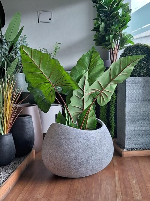 BHOOMI premium round planter with wide opening