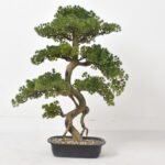 Artificial Plants