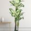 Artificial Indoor Dieffenbachia Plant with variegated leaves