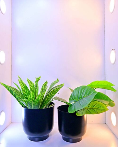 Enhance your decor with the Round Planter Set of 2 - perfect for small plants. Shop the 8.27" & 9.06" set today at ArtaFlora.com.