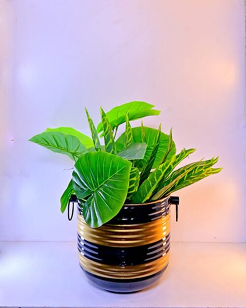 Add elegance to your space with the Stylish Round Planter with Stripes. A modern, decorative planter for any indoor space. Shop now at ArtaFlora.com.