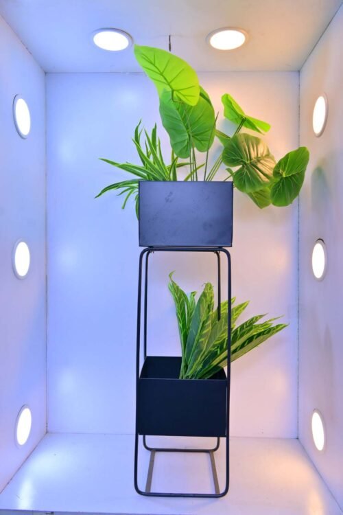 Organize your greenery with the Two-Tier Metal Plant Stand with Rectangular Planters – a 27.56-inch stylish solution for modern spaces. Shop now at ArtaFlora.com.