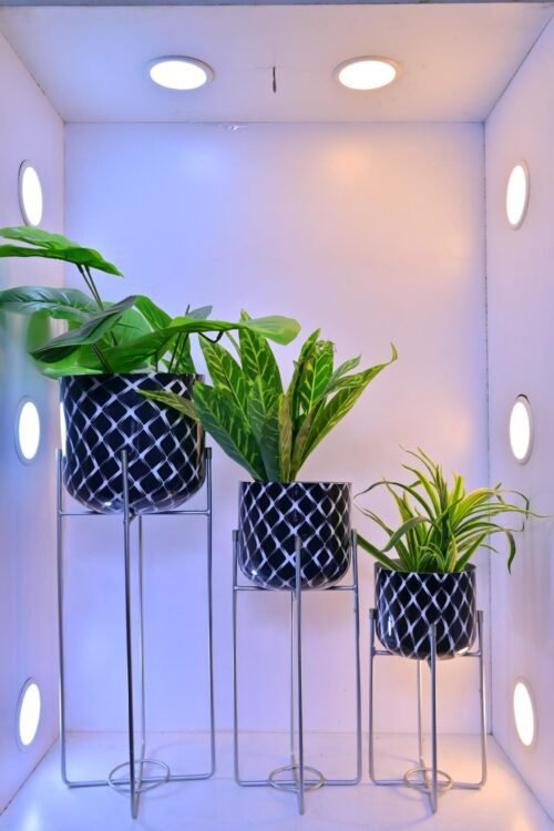 Shop the Patterned Round Plant Pots on Varied Height Metal Stands (Set of 3). Add a touch of elegance and style with these decorative planters. Shop now at ArtaFlora.com.
