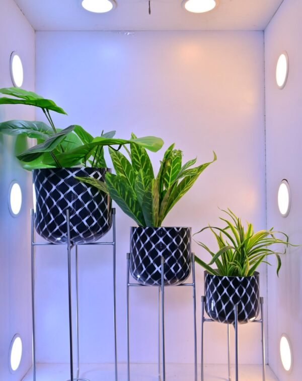 Shop the Patterned Round Plant Pots on Varied Height Metal Stands (Set of 3). Add a touch of elegance and style with these decorative planters. Shop now at ArtaFlora.com.