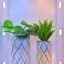 Style your home with our 2 Piece Diamond Grid Stand Planters—sleek modern design, perfect for indoor greenery. Shop premium decor at ArtaFlora.com.