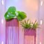 Enhance your space with the Rectangular Bronze Band Pots Duo. Includes 23x45 & 23x63 bronze planters for large plants. Shop now at ArtaFlora.com.