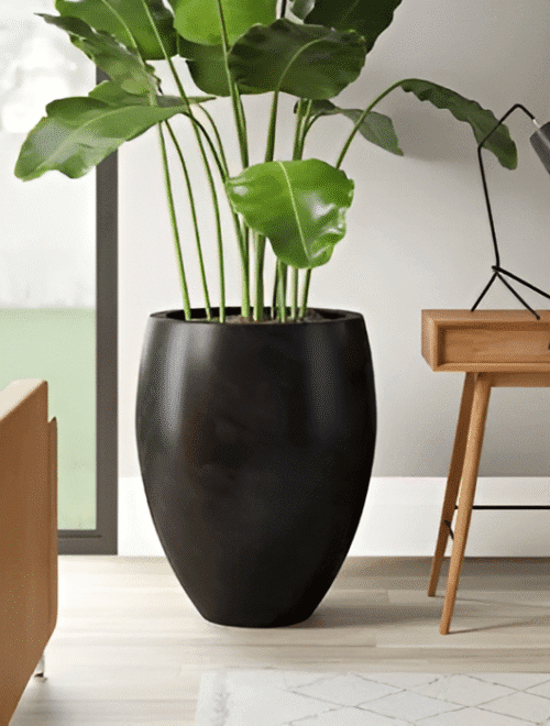 Shop premium black oval planters for modern spaces. Durable, stylish, and perfect for indoor or outdoor decor. Buy now from ArtaFlora.com.