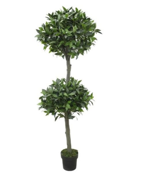 Topiary Bay artificial tree 65 inch for home and office decor