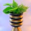 Add modern style to your decor with the Ecliptic Banded Pedestal Planter. At 13 inches tall, it’s the perfect decorative piece for your home. Shop now at ArtaFlora.com.