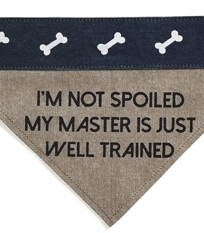 Slip on Bandana: Medium/Large (Fido)