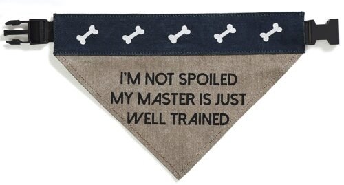 Slip on Bandana: Medium/Large (Fido)