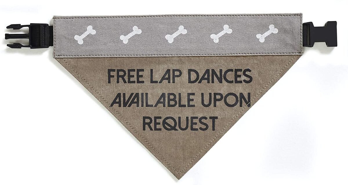 Slip on Bandana: Medium/Large (Lap Dog)