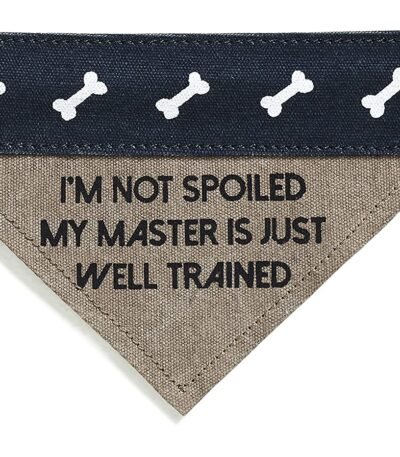 Slip on Bandana: Small/Medium (Fido)
