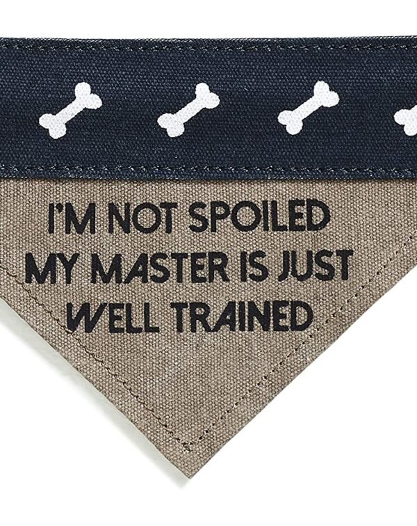 Slip on Bandana: Small/Medium (Fido)