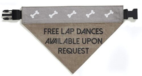 Slip on Bandana: Small/Medium (Lap Dog)