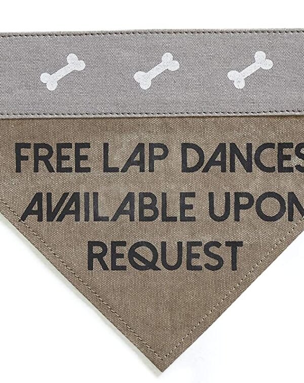 Slip on Bandana: Small/Medium (Lap Dog)