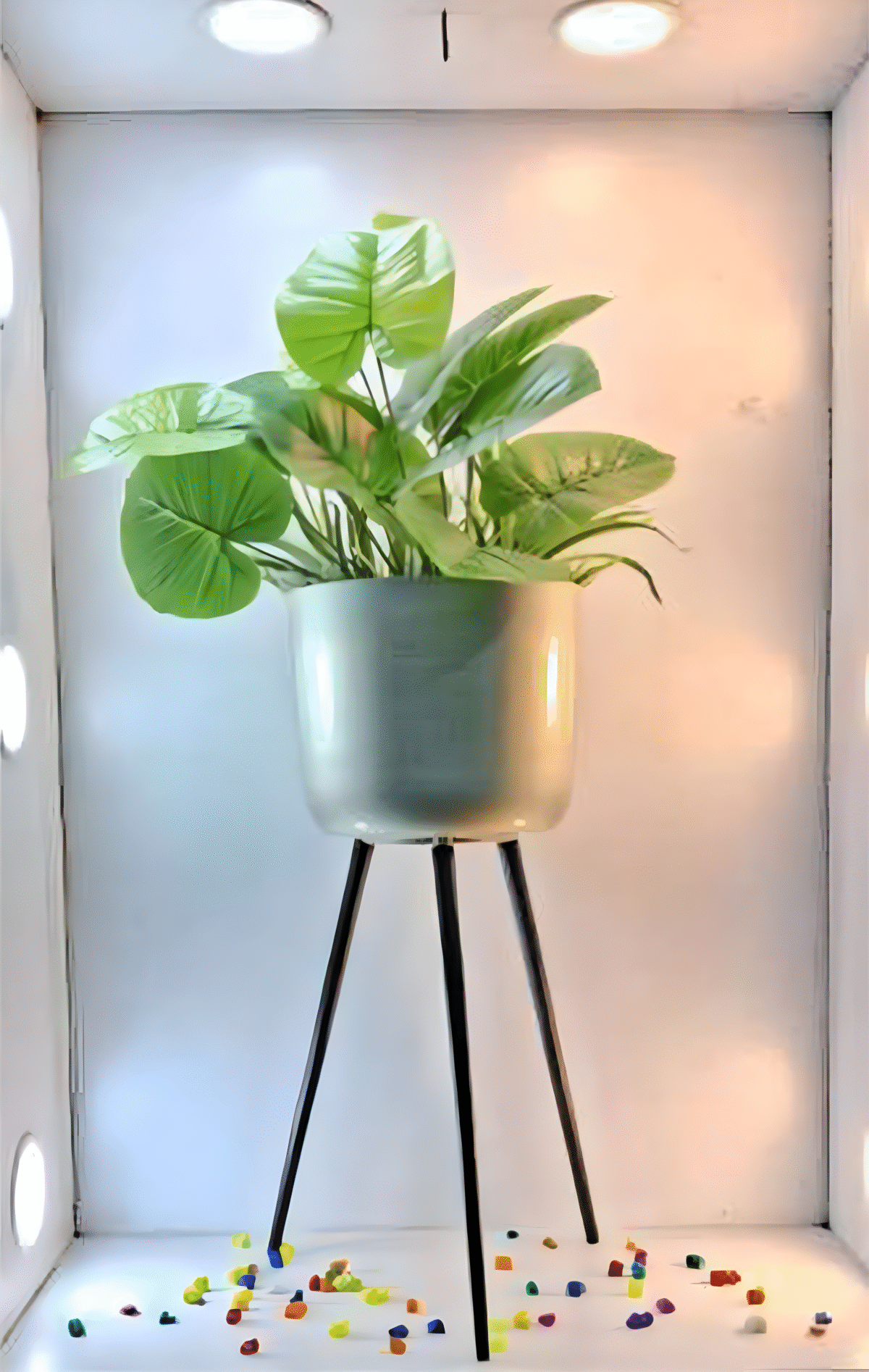 artflora