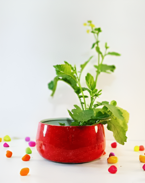 Decorative Round Metal Planter Bowl