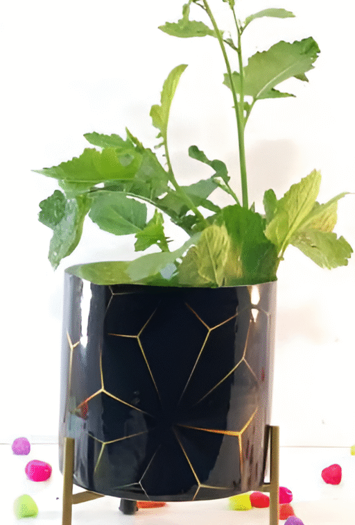 Decorative Printed Metal Planter with Stand