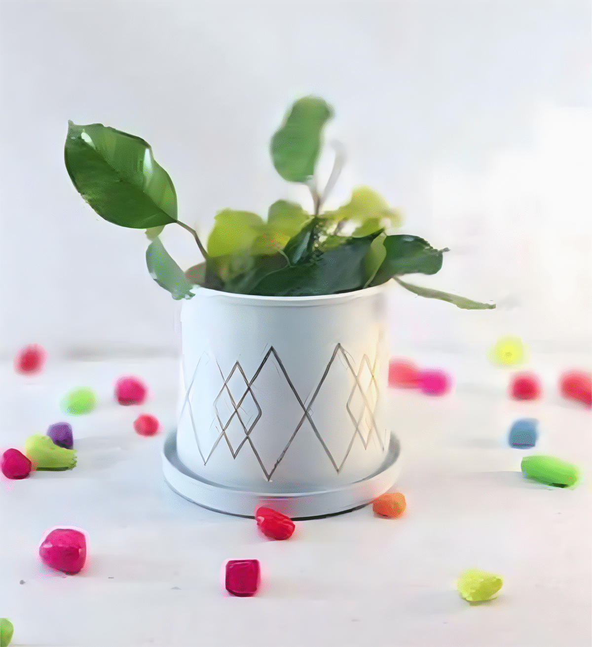 artflora