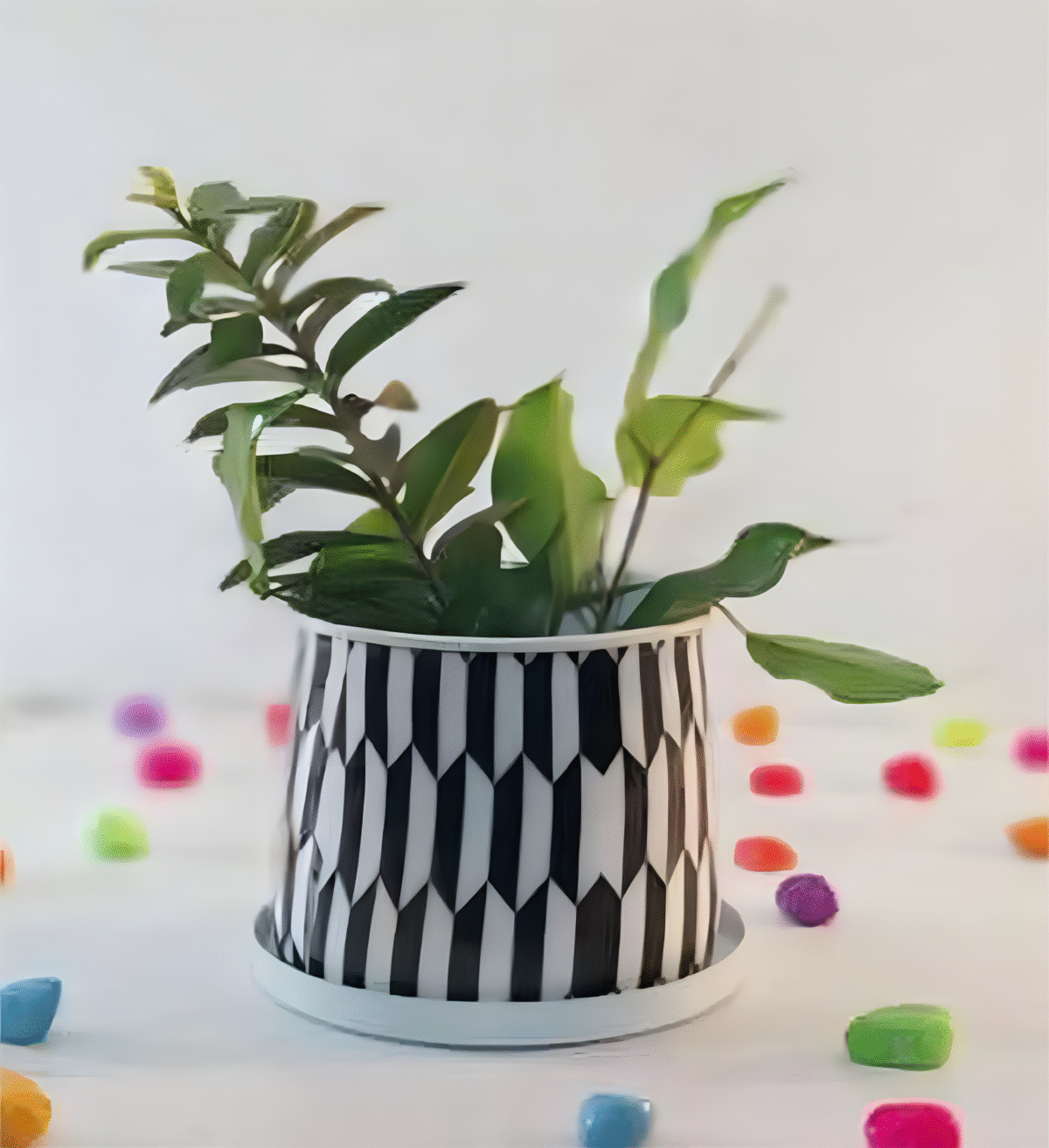 artflora