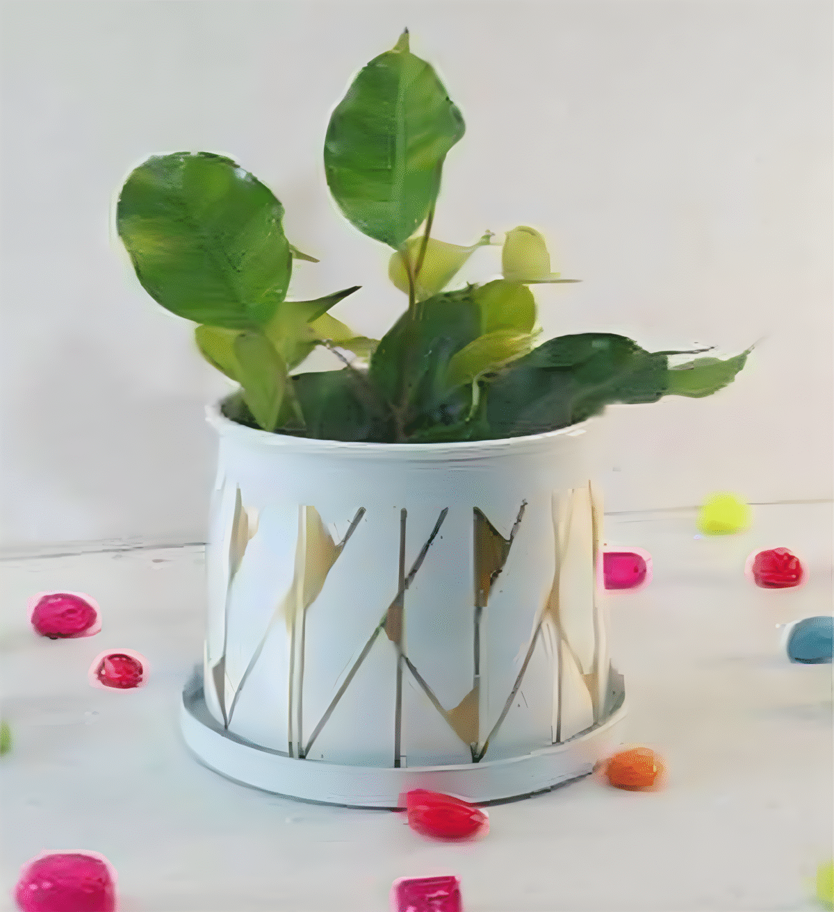 artflora