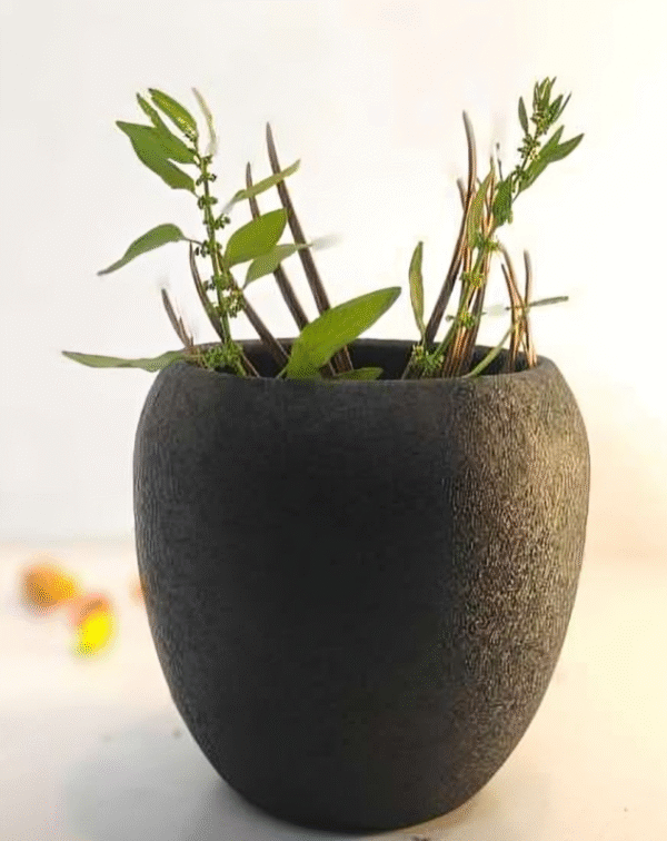 Table Top Iron Pot