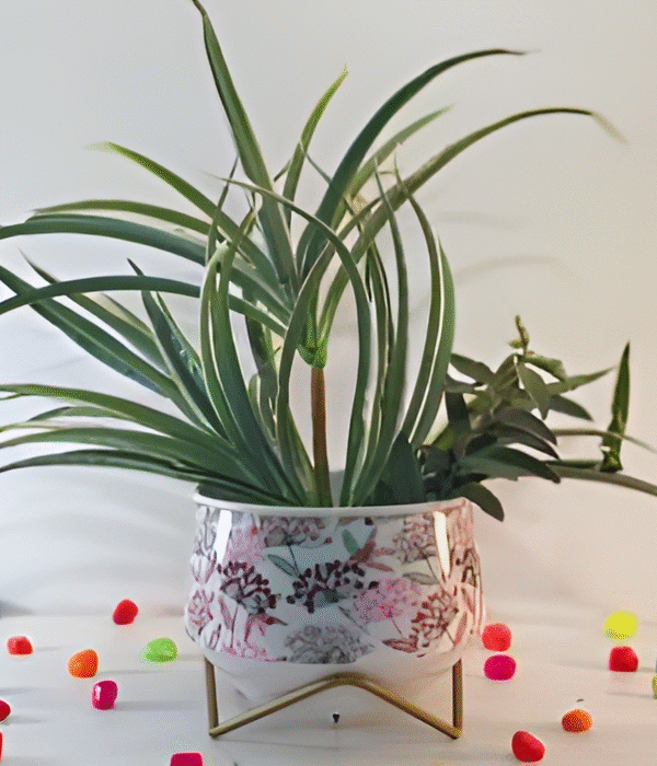 Wide Printed Metal Planter with Gold Cross Stand