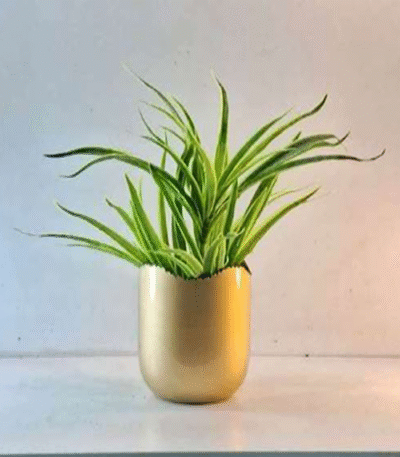 Tall Oval Metal Planter