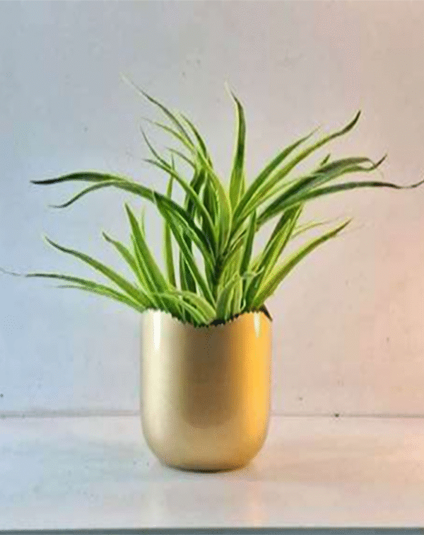Tall Oval Metal Planter