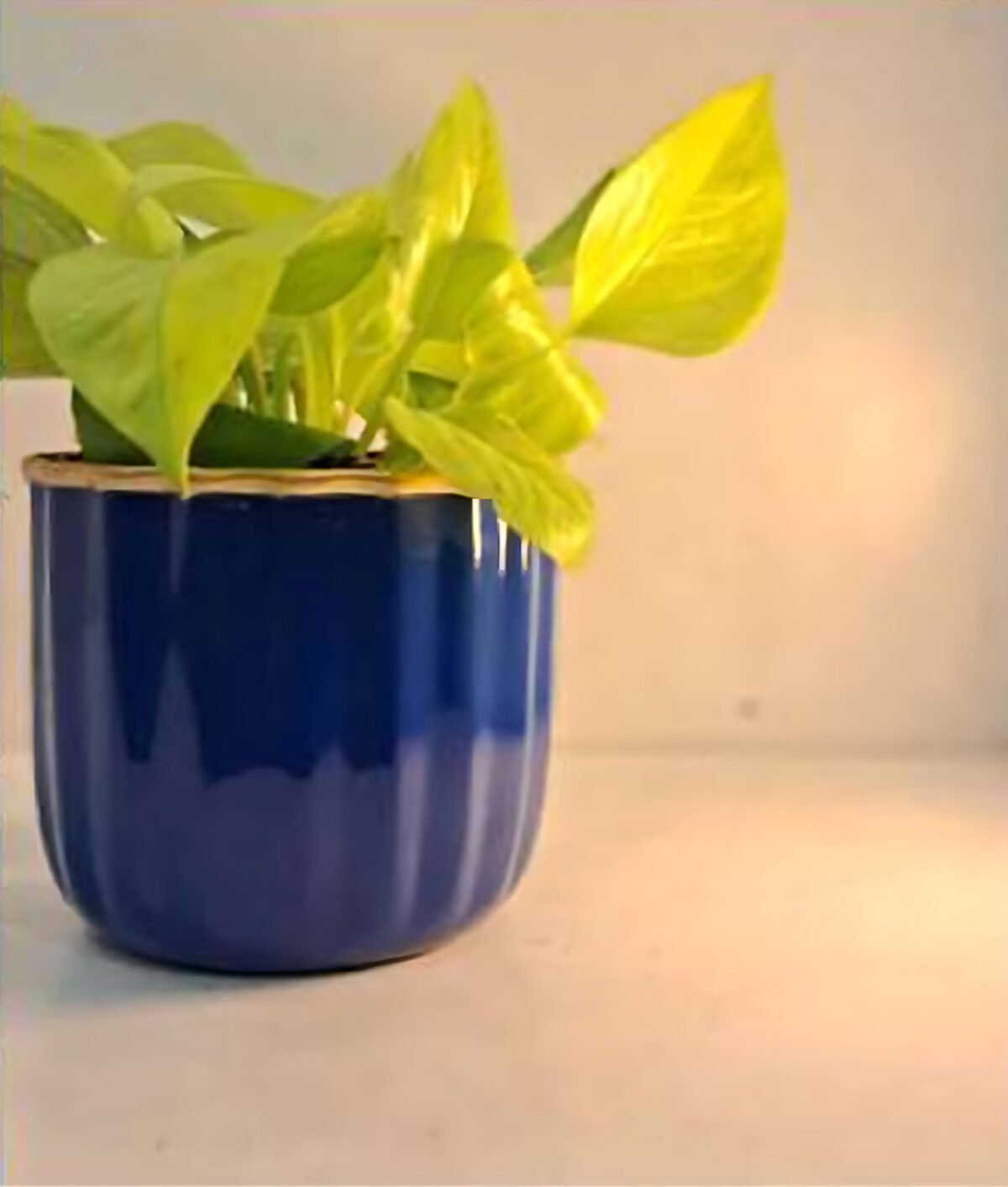 artflora