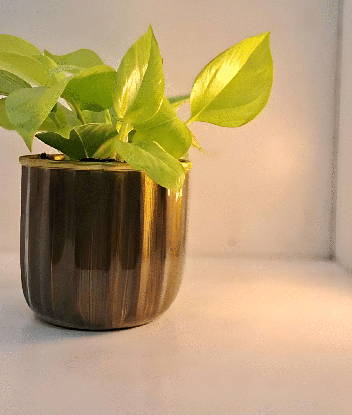 Compact Round Metal Planter