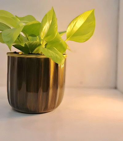 Compact Round Metal Planter