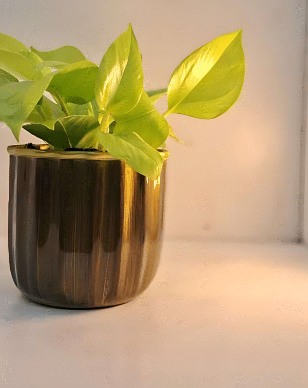 Compact Round Metal Planter
