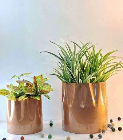 Glossy Cylindrical Metal Planter