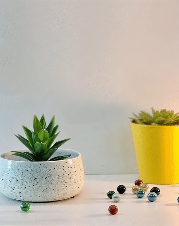 Wide Rim Round Stone-Finish Pot