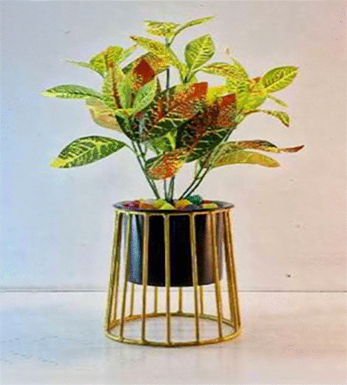 artflora