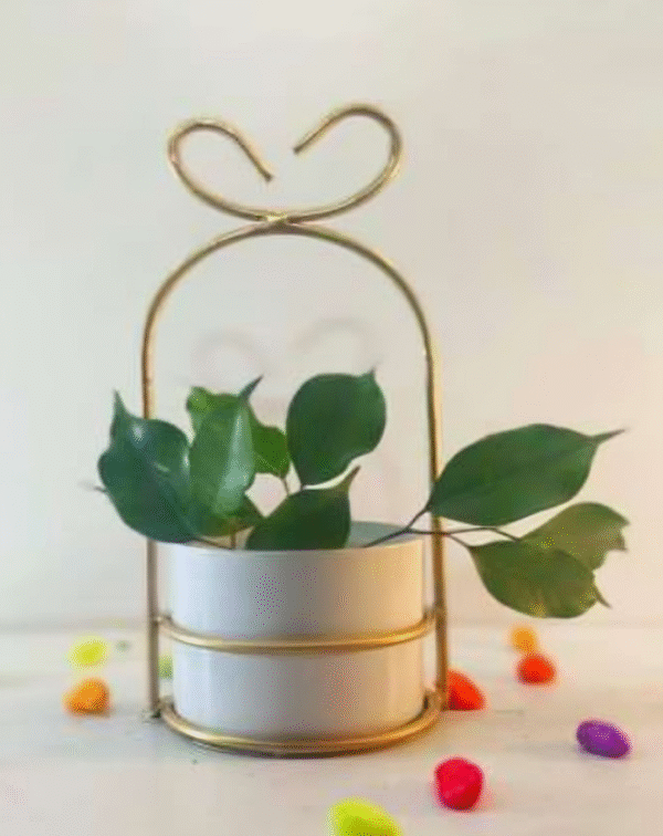 Heart-Loop Metal Planter
