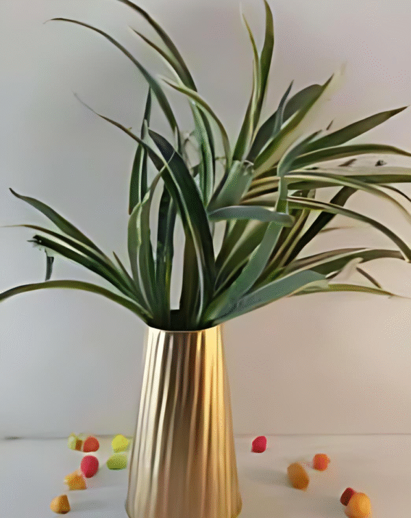 Metal Cone Pot – Vertical Ribbed Finish