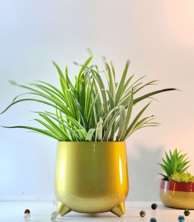 Rounded Metal Planter with Tripod Base