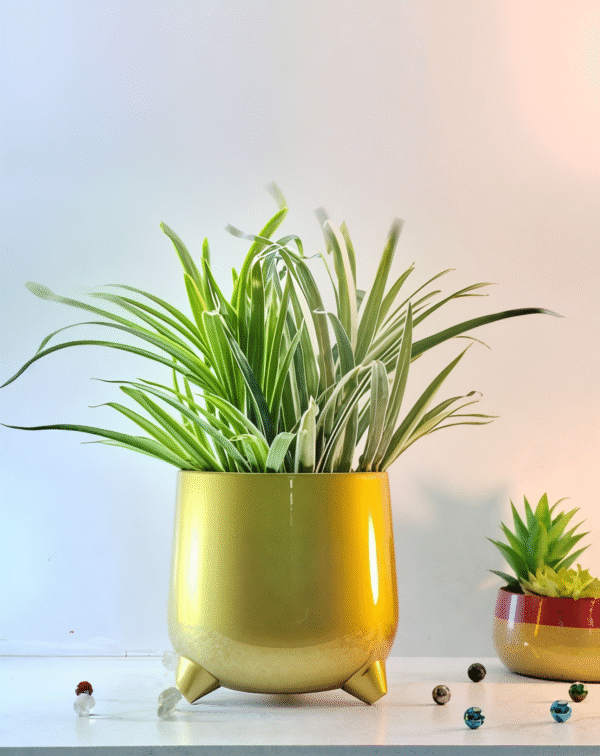 Rounded Metal Planter with Tripod Base