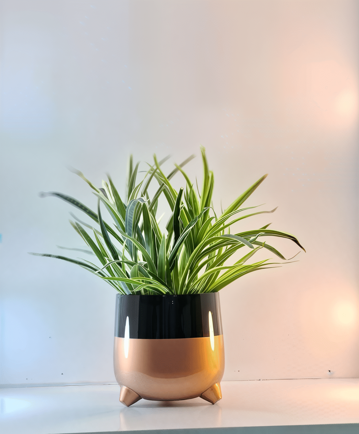artflora